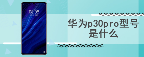 华为p30pro型号是什么