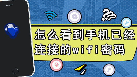 怎么看到手机已经连接的wifi密码