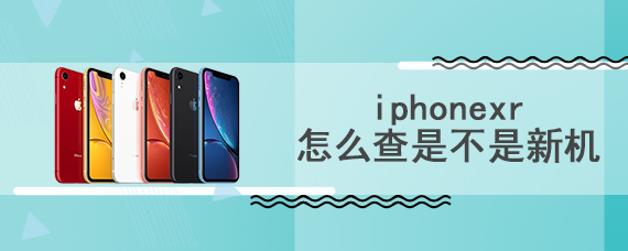 iphonexr怎么查是不是新机