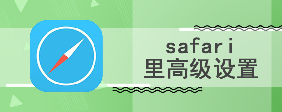 safari里高级设置