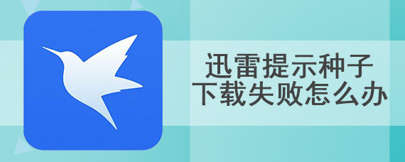 迅雷提示种子下载失败怎么办