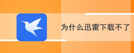 为什么迅雷下载不了视频