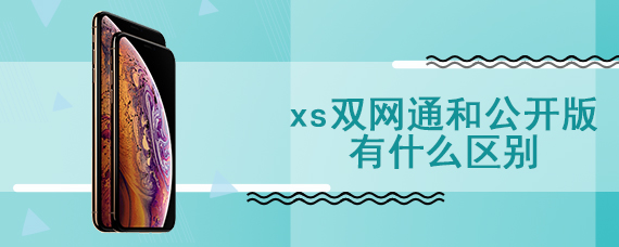 xs双网通和公开版有什么区别