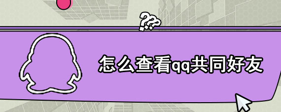 怎么查看qq的共同好友