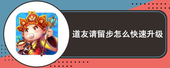 道友请留步怎么快速升级
