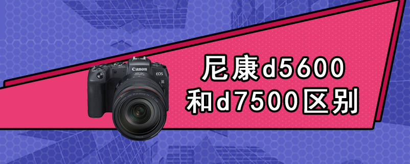 尼康d5600和d7500区别