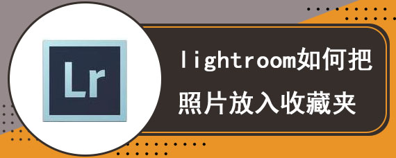 lightroom如何把照片放入收藏夹