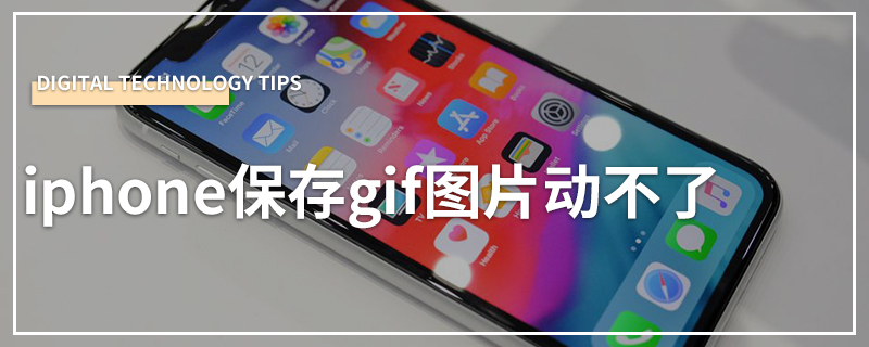 iphone保存gif图片动不了