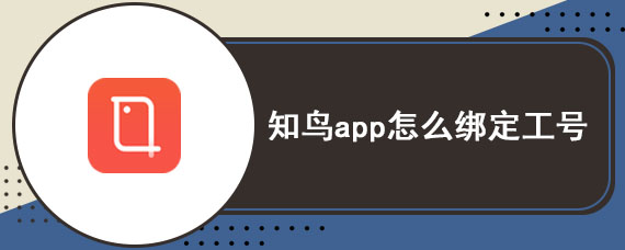 知鸟app怎么绑定工号