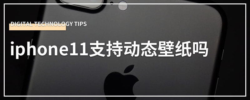 iphone11支持动态壁纸吗