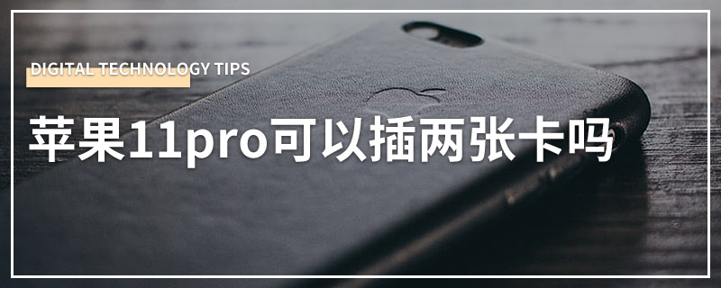 苹果11pro可以插两张卡吗