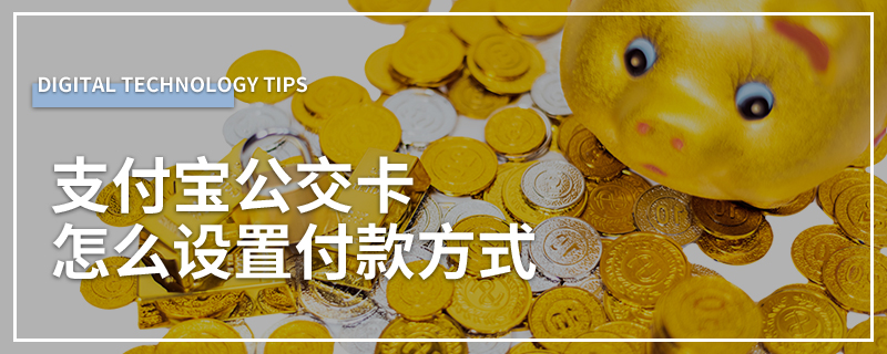 支付宝公交卡怎么设置付款方式