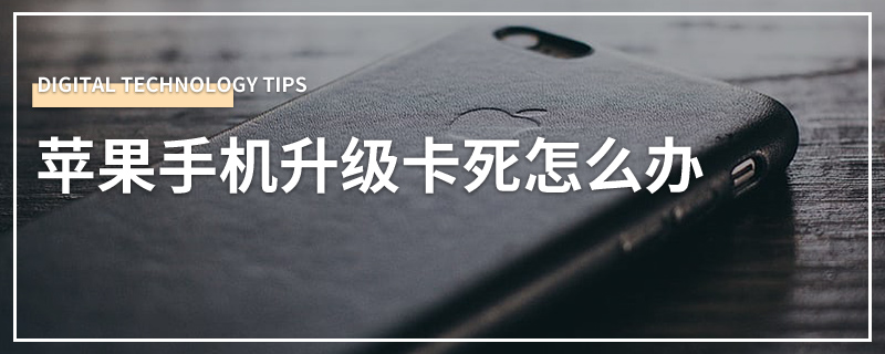苹果手机升级卡死怎么办