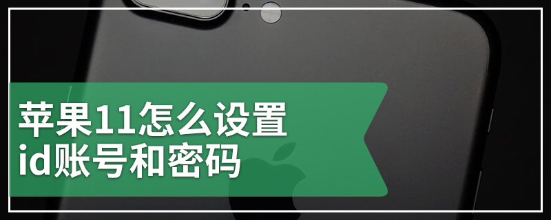 苹果11怎么设置id账号和密码