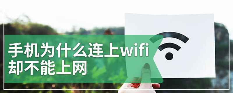 手机为什么连上wifi却不能上网