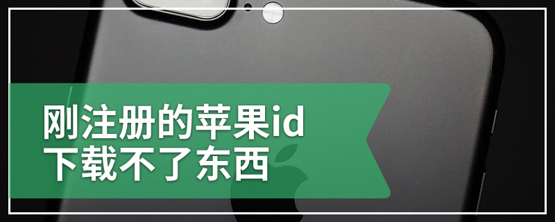 刚注册的苹果id下载不了东西