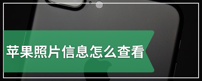 苹果照片信息怎么查看