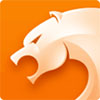 猎豹浏览器新版下载安装