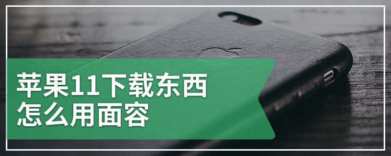 苹果11下载东西怎么用面容