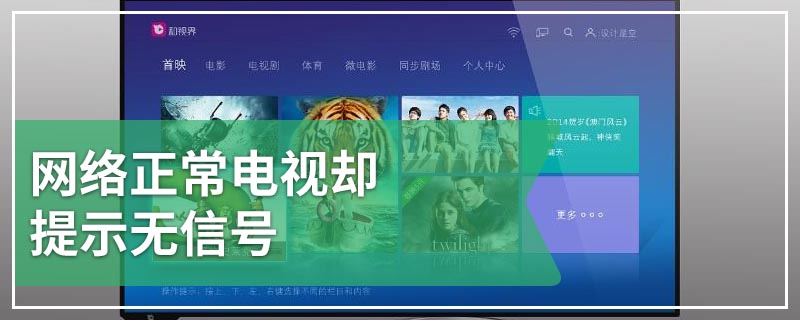 网络正常电视却提示无信号