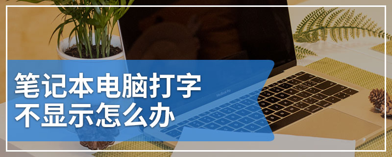 笔记本电脑打字不显示怎么办