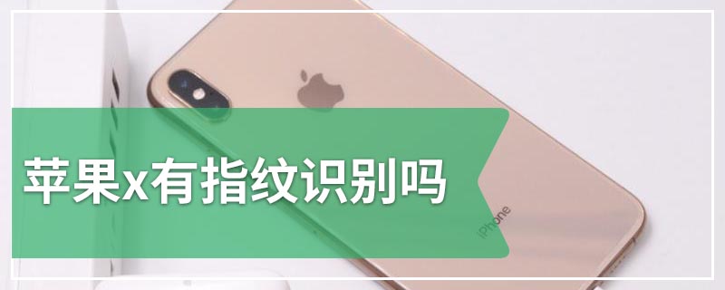 苹果x有指纹识别吗