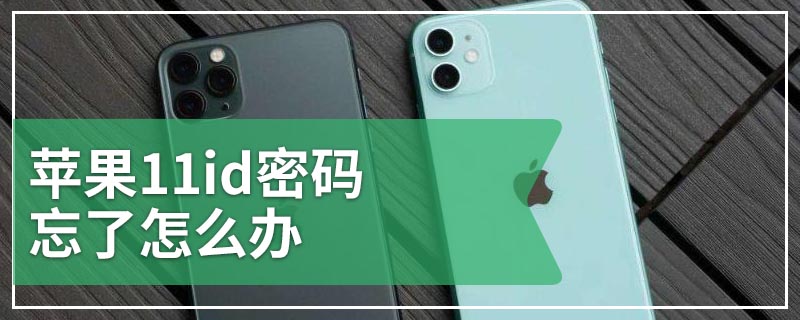 苹果11id密码忘了怎么办