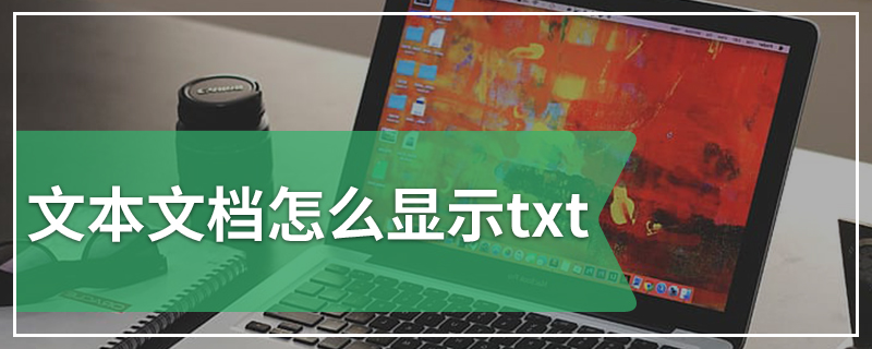 文本文档怎么显示txt