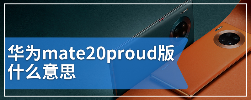 华为mate20proud版什么意思