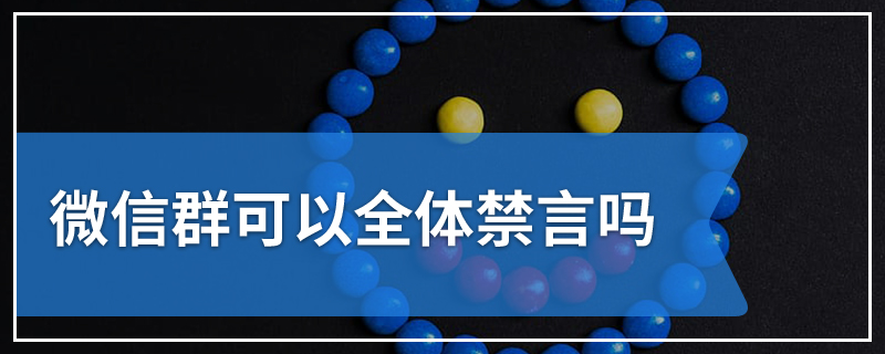 微信群可以全体禁言吗