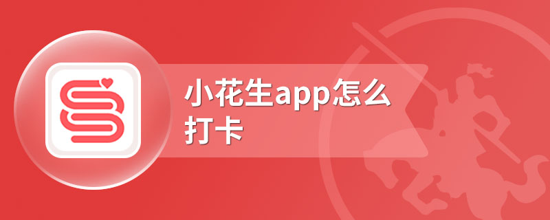 小花生app怎么打卡