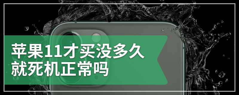 苹果11才买没多久就死机正常吗