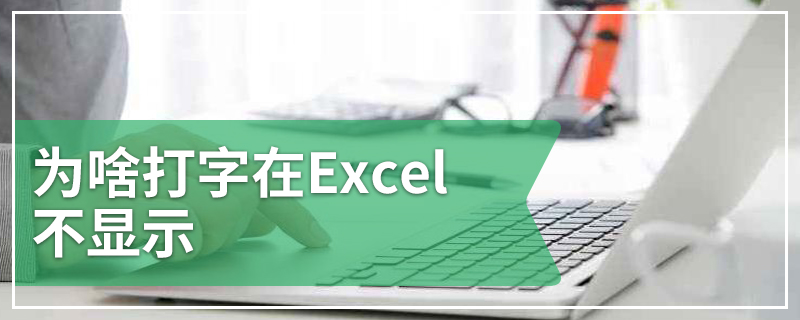 为啥打字在Excel不显示