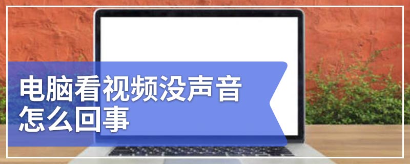 电脑看视频没声音怎么回事