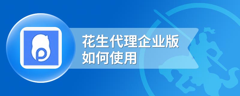 花生代理企业版如何使用