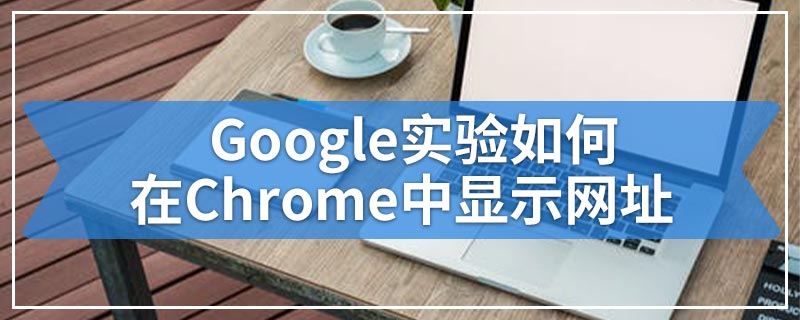 Google实验如何在Chrome中显示网址