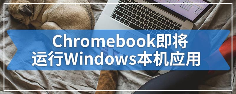 Chromebook即将运行Windows本机应用