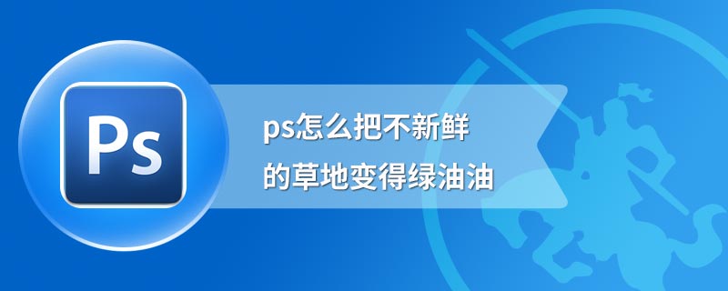 ps怎么把不新鲜的草地变得绿油油