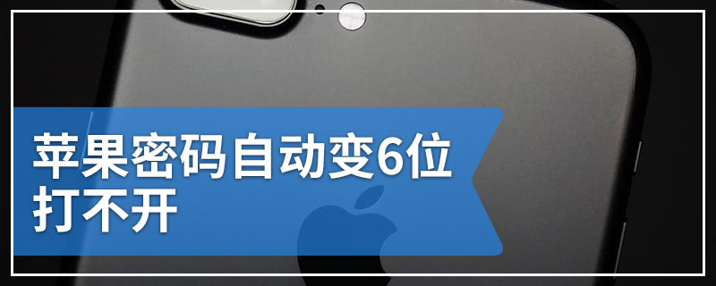 苹果密码自动变6位打不开