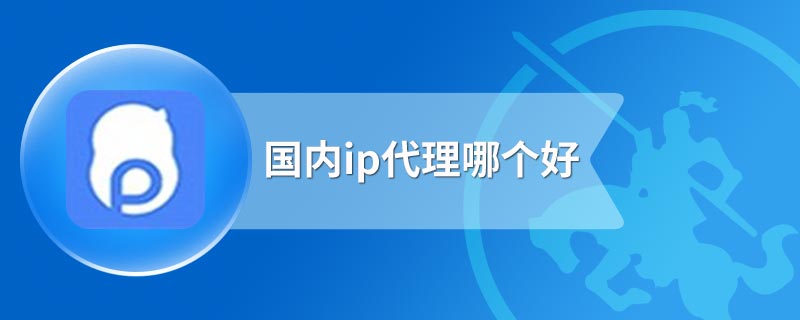 国内ip代理哪个好