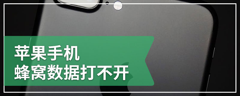 苹果手机蜂窝数据打不开