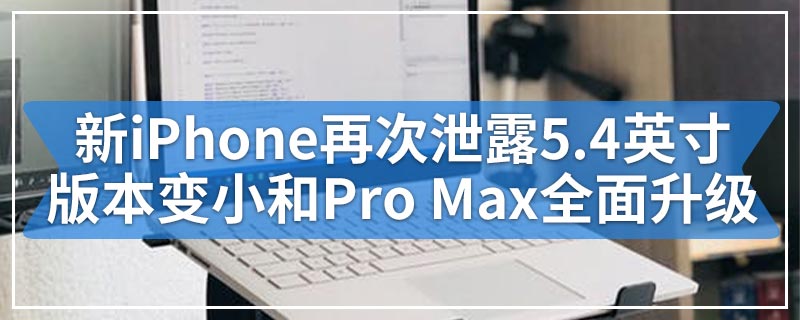 新iPhone再次泄露5.4英寸版本变小和Pro Max全面升级