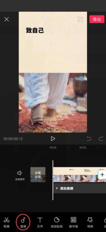 剪映怎么加自己的录音(2)
