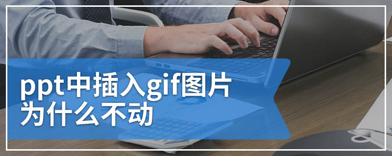 ppt中插入gif图片为什么不动