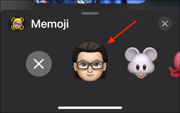 在iPhone和iPad上的FaceTime通话中如何使用Memoji(5)