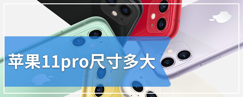 苹果11pro尺寸多大
