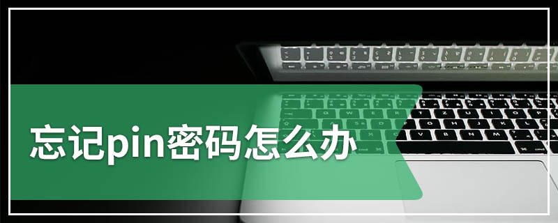 忘记pin密码怎么办