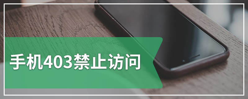 手机403禁止访问