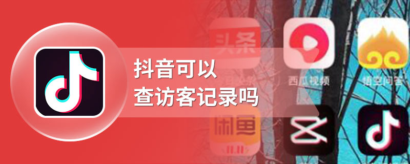 抖音可以查访客记录吗