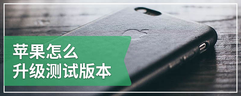苹果怎么升级测试版本
